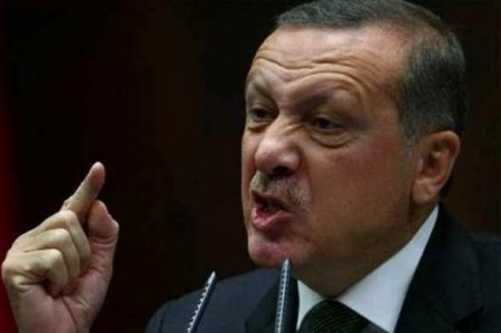 Эрдоган нашел виновного в обвале национальной валюты