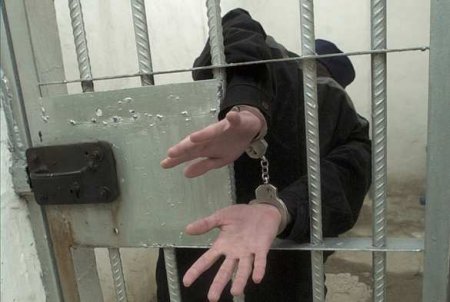 На Украине может появиться новый вид наказания для преступников