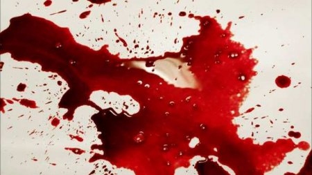 Жестокое убийство семьи в Подмосковье: подозреваемые задержаны (ФОТО)