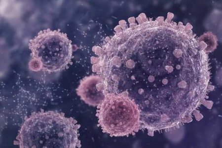 Новый антирекорд по числу умерших за сутки: коронавирус в России