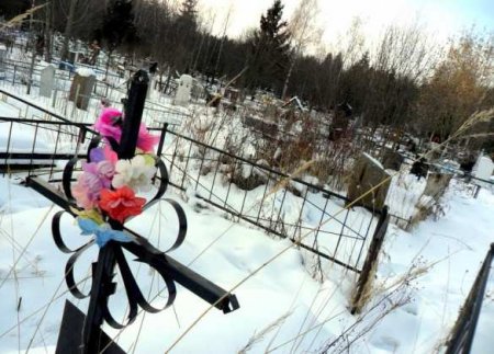 Символично: в украинском городе на центральную площадь поставили ёлку с кладбища (ВИДЕО)