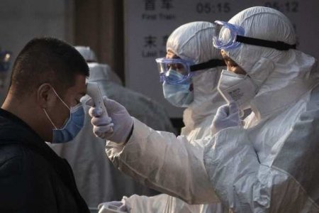 В ВОЗ обвинили Китай в сокрытии коронавируса и промедлении в первые дни пандемии