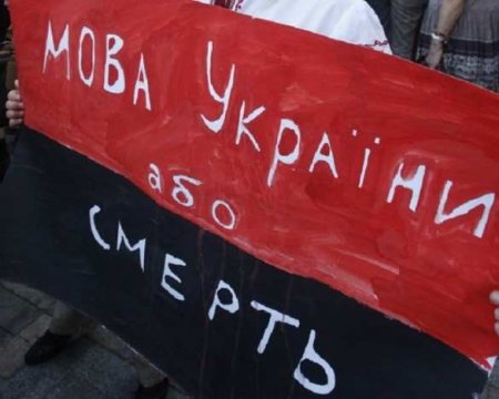 «Подрихтуем каждого»: В Киеве нацисты заставили владельца кофейни извиняться из-за насмешек над законом о языке (ВИДЕО)