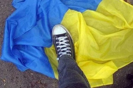 Про мораль и яйца: украинский экс-министр раскритиковал распиаренный проект Зеленского (ВИДЕО)