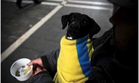 Итог Майдана: каждый второй украинец находится за чертой бедности