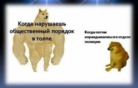 МВД припугнуло адептов Навального интернет-мемом (ФОТО)