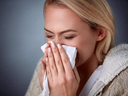Кошмар для аллергиков: глобальные изменения в природе бьют по человечеству
