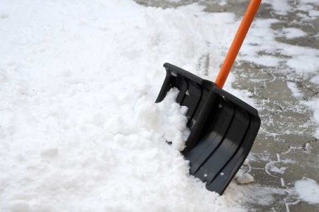 «Находчивый» украинец соврал полиции, что зарезал отчима, чтобы убрали снег возле дома