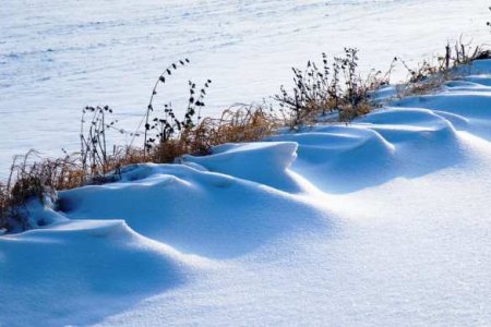 Во Львове вор, убегая от полиции, закопался в снегу (ФОТО)