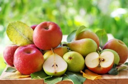 Яблоки укрепляют мозг — обнаружен удивительный эффект