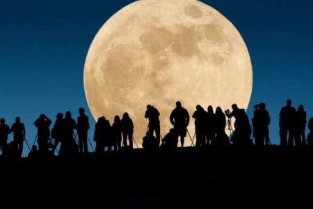 Учёные хотят создать на Луне «Ноев ковчег» на случай глобальной катастрофы