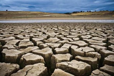 Европу накрывает сильнейшая за последние 2 тысячи лет засуха