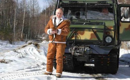 Путина захотели увидеть в борьбе с настоящим медведем (ВИДЕО)