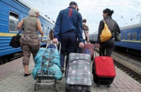Мигрантов обяжут получать единый электронный документ для длительного пребывания в РФ