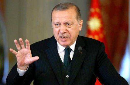 Эрдоган хочет мобилизовать весь мир против Израиля