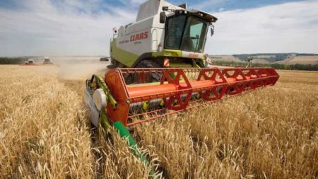 Минсельхоз США прогнозирует в России один из лучших урожаев пшеницы в истории