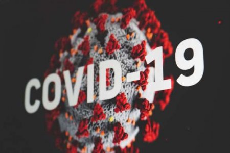 Биолог рассказала, когда заболеваемость COVID-19 в РФ должна пойти на спад