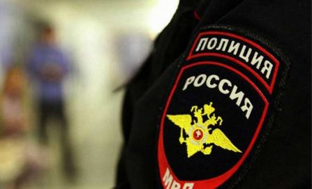 В Москве мужчина ударил полицейского и натравил на него собак