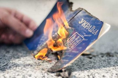 «Украина, иди в жопу»: украинка и её дети выбросили паспорта (ВИДЕО)