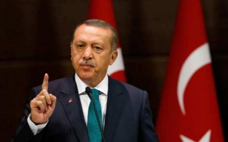 Эрдоган выступит с «посланием для всего мира» на Северном Кипре