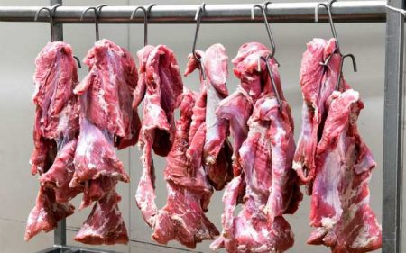 Учёные рассказали, чем опасно для здоровья красное мясо
