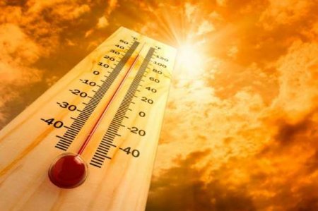 Человечество предупредили о приближении самого жаркого года за всю историю