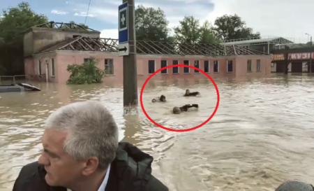 «Плавают целое утро»: Аксёнов рассказал, кто сопровождал его вплавь в Керчи (ВИДЕО)