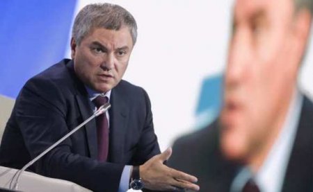 Володин прокомментировал украинские санкции против Чемезова