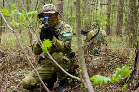 Подготовленный американцами спецназ переброшен на Донбасс: готовится удар (ВИДЕО)