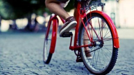 ГИБДД проверит курьеров-велосипедистов на знание ПДД