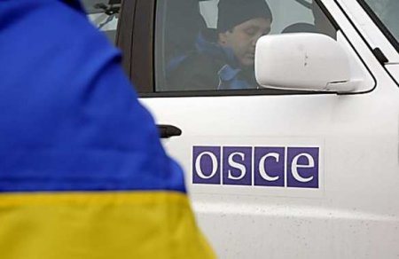 Делегат от Крыма заявил об оскорблениях украинским представителем в ОБСЕ