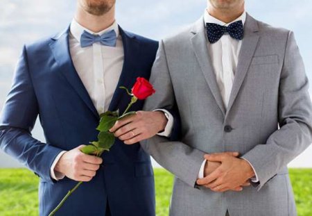 В Совфеде прокомментировали требование ЕСПЧ о регистрации однополых браков