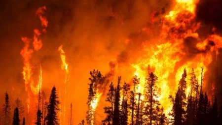 В Якутии лесной пожар дошёл до населённого пункта, идёт экстренная эвакуация (ВИДЕО)