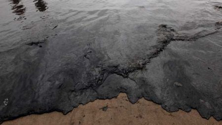 В морских портах РФ пройдут масштабные проверки после разлива нефти в Чёрном море