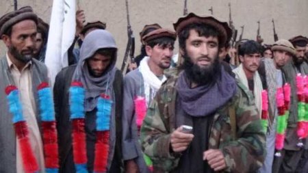 Противники талибов попросили США прислать им оружие