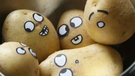 Неудачный памятник картошке открыли в Белоруссии (ФОТО)