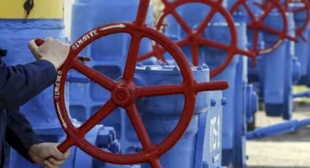 В Германии отреагировали на заявления о причастности России к газовому кризису