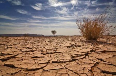 В США от засухи страдают 19 млн человек, власти вводят режим ЧП