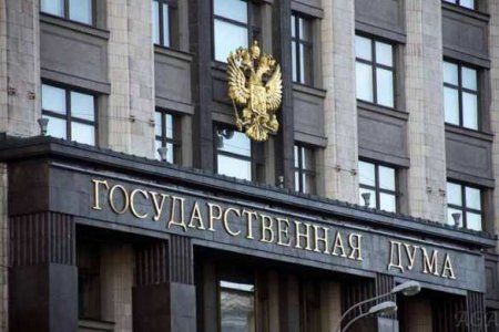 В Госдуму внесён проект обращения к Путину с просьбой признать ДНР и ЛНР