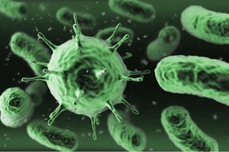 Учёные бьют тревогу: устойчивые к антибиотикам супербактерии могут стать «началом конца»