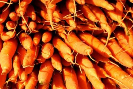 Фермер погиб под оползнем моркови
