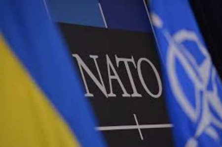 Вступление Украины в НАТО не стоит на повестке дня, — МИД Германии