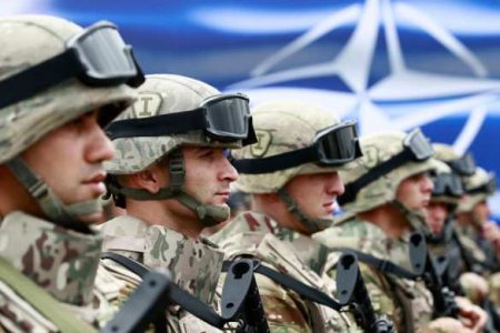 Украинский таран и план агрессии: большие силы НАТО готовятся к войне в Восточной Европе