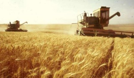Украина кормит 400 млн человек в мире и скоро накормит миллиард, — министр агрополитики