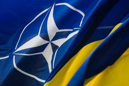 Украина запросила помощь НАТО