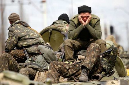 «Героически погибшие» украинские пограничники с острова Змеиный прибыли в Севастополь (ВИДЕО)