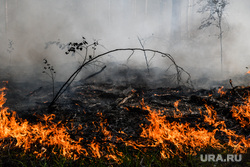 В районе Красноярского края ввели режим ЧС из-за пожаров