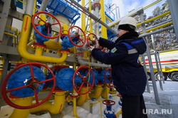 Депутат Госдумы предложил приостановить поставки газа в Евросоюз