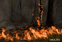 Запах гари в Екатеринбурге связали с пожаром в Курганской области