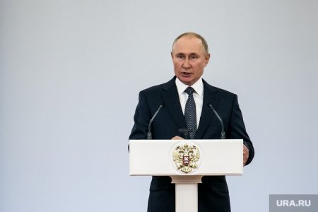 Путин направил санкции на защиту России от продуктового кризиса